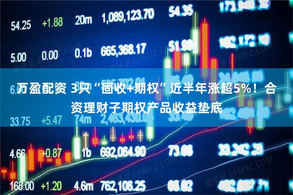 万盈配资 3只“固收+期权”近半年涨超5%！合资理财子期权产品收益垫底
