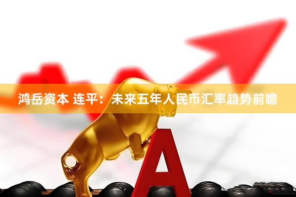 鸿岳资本 连平:未来五年人民币汇率趋势前瞻